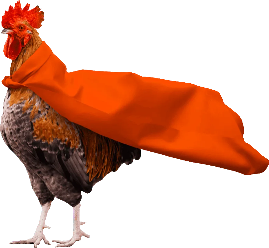 Un coq portant une cape orange